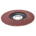 Диск лепестковый ELITECH 125мм, P120 1820.174900